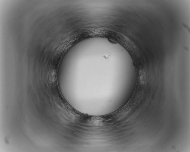 X0000101950514200808011048