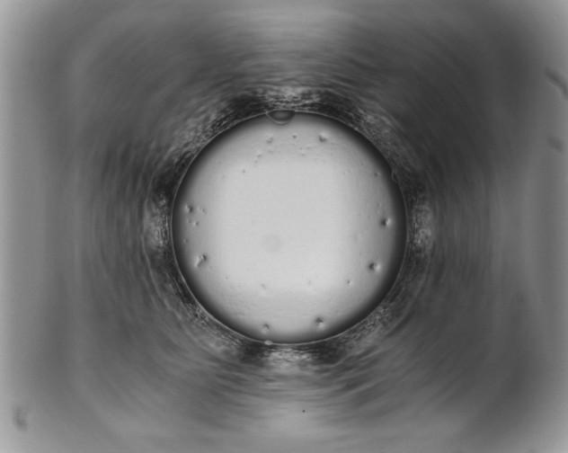 X0000101950515200808011048