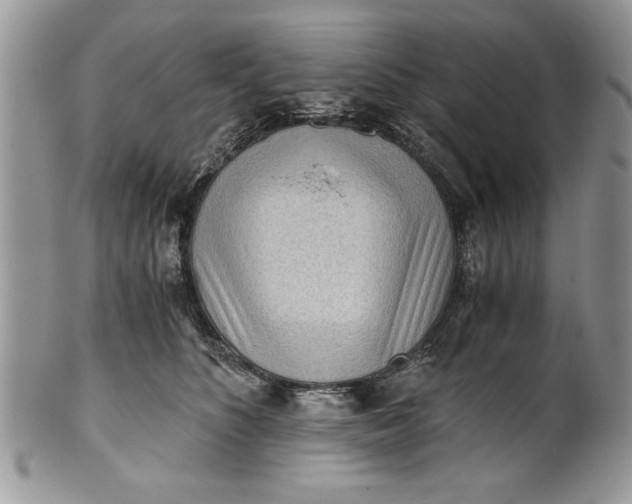 X0000101950516200808011048