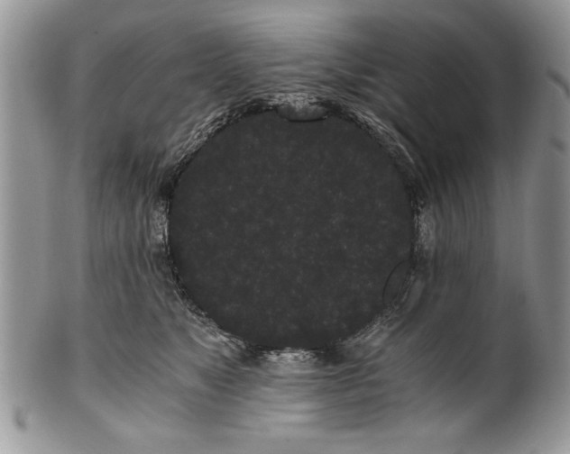 X0000101950517200808011048