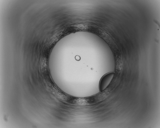 X0000101950518200808011048