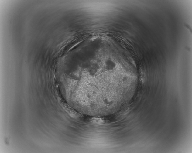 X0000101950519200808011048