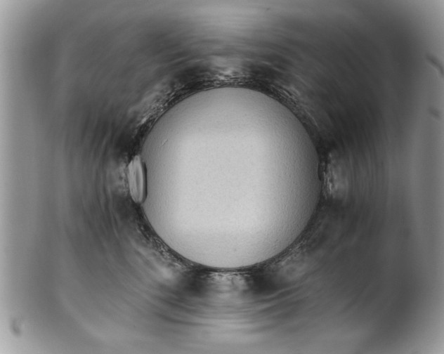 X0000101950520200808011048