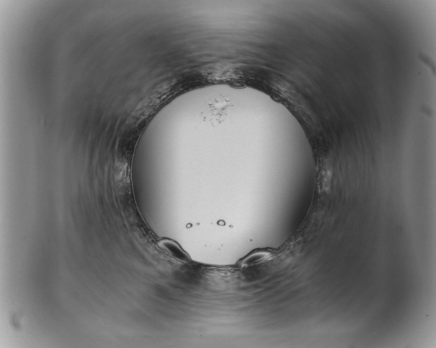 X0000101950521200808011048