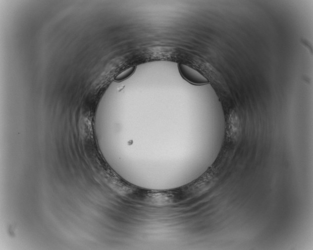 X0000101950522200808011048