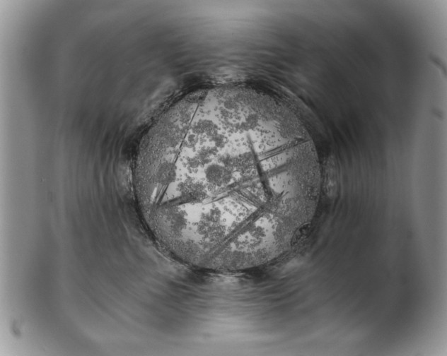 X0000101950523200808011048