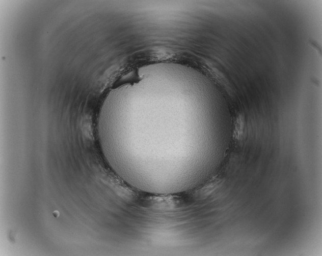 X0000101950524200808011048