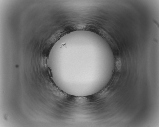 X0000101950525200808011048