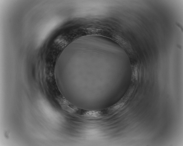 X0000101950526200808011048