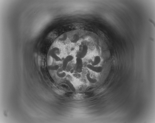 X0000101950527200808011048