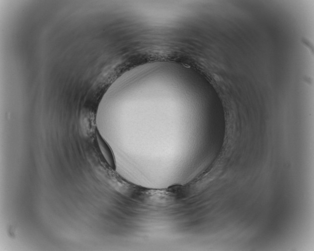 X0000101950528200808011048