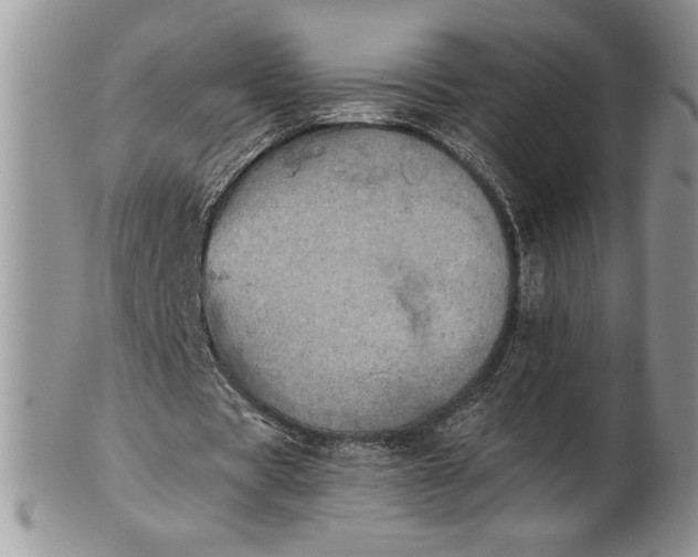 X0000101950529200808011047