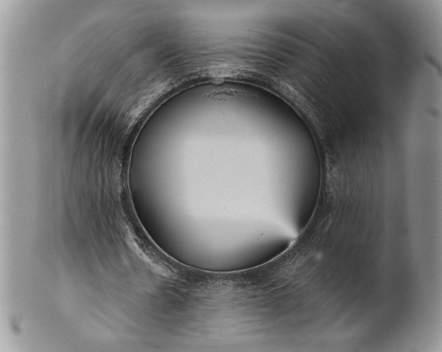 X0000101950530200808011047