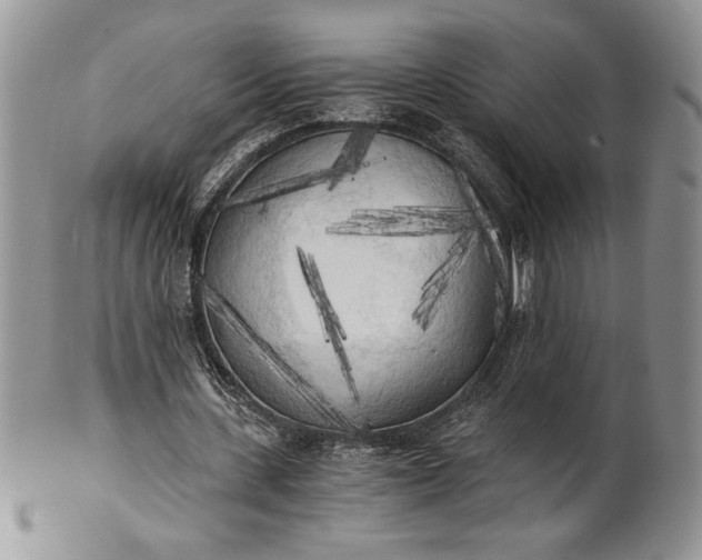 X0000101950531200808011047