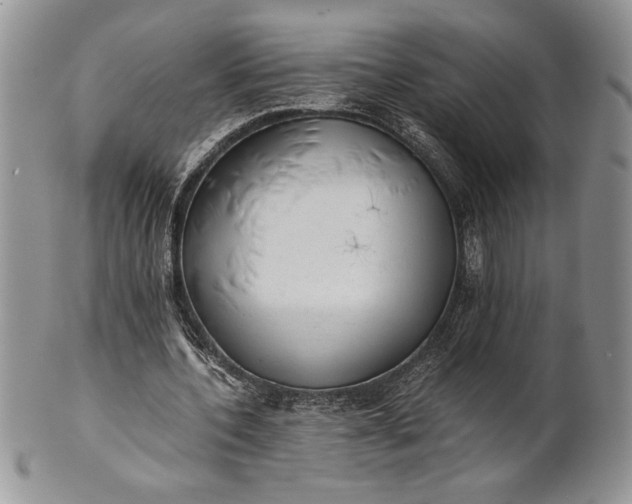 X0000101950532200808011047