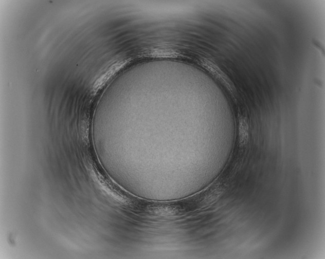 X0000101950533200808011047