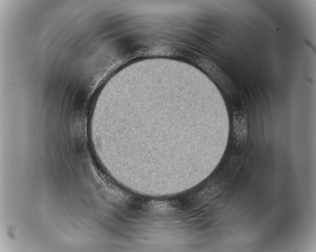 X0000101950534200808011047