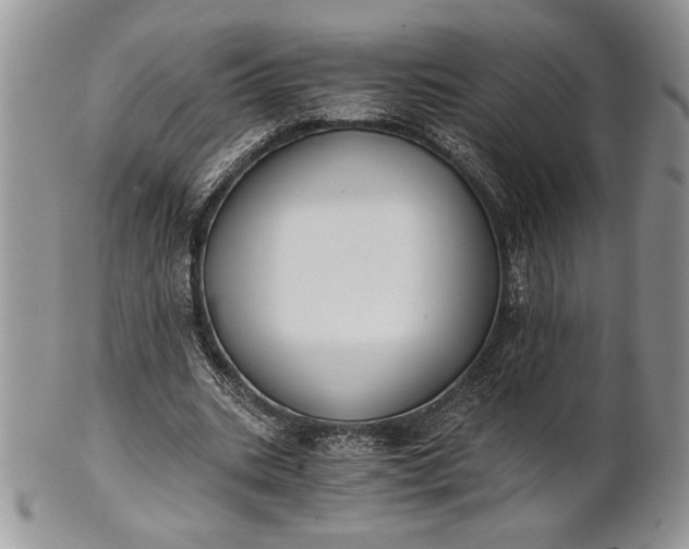 X0000101950535200808011047