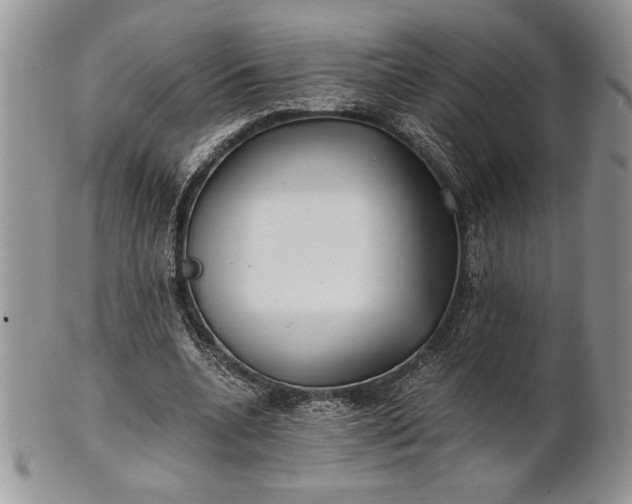 X0000101950536200808011047