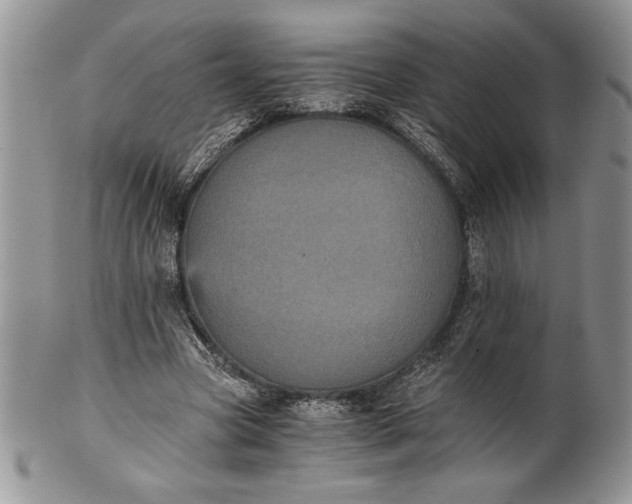 X0000101950537200808011047