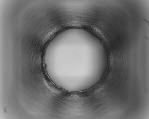 X0000101950538200808011047