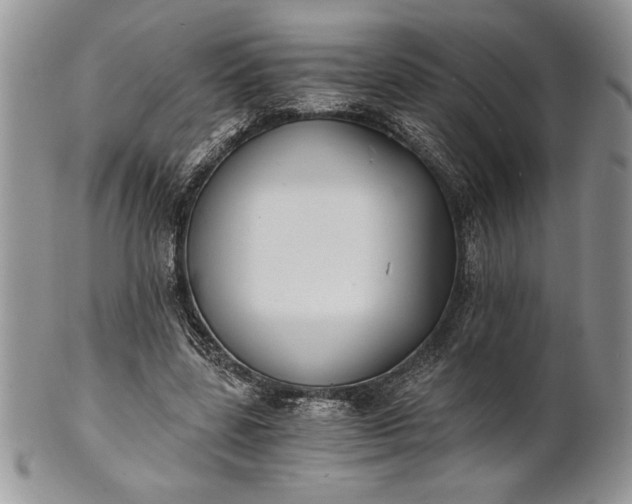 X0000101950539200808011048