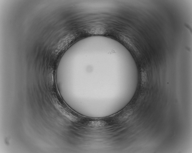 X0000101950541200808011048