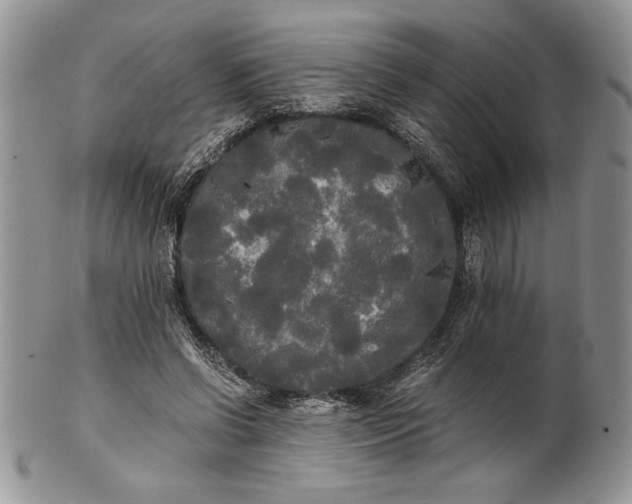 X0000101950542200808011048