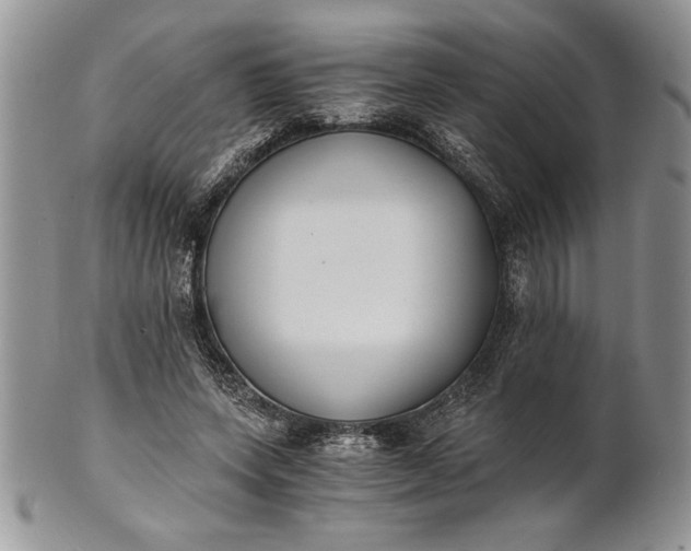 X0000101950543200808011048