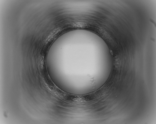 X0000101950544200808011048