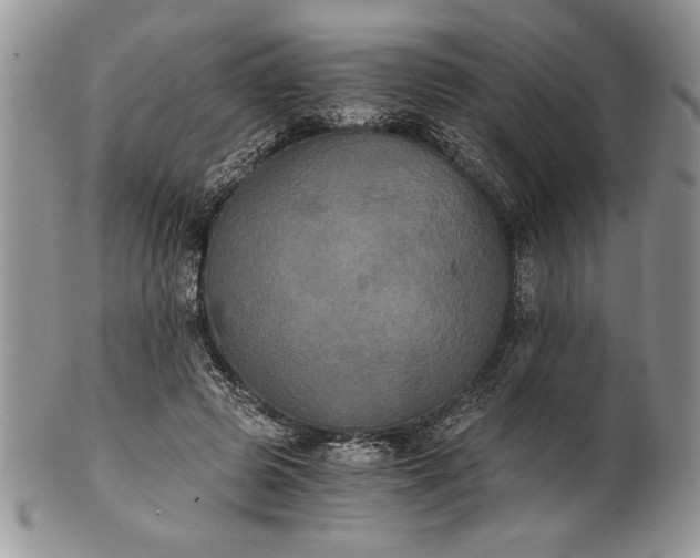 X0000101950545200808011048