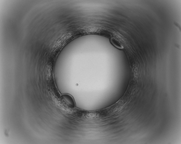 X0000101950546200808011048