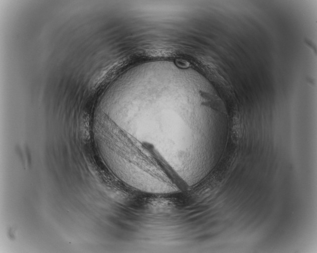 X0000101950547200808011048