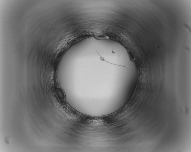 X0000101950548200808011048