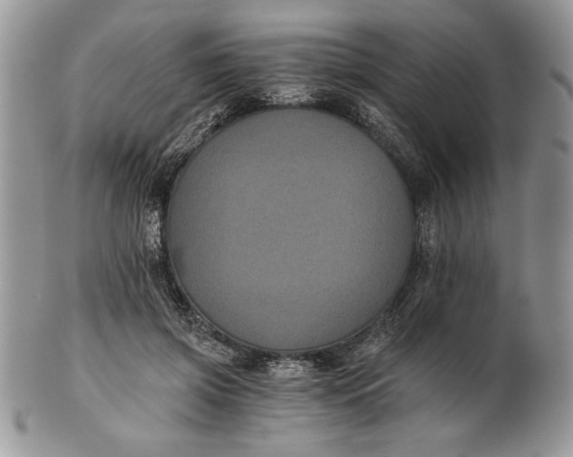 X0000101950549200808011048