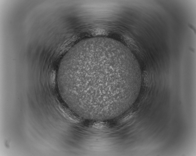 X0000101950550200808011048