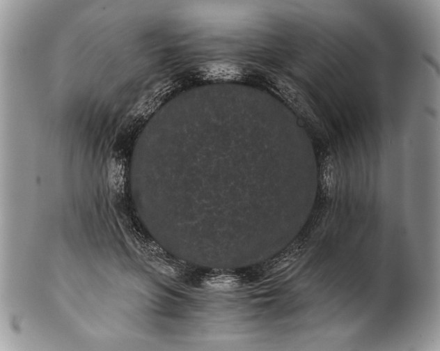 X0000101950551200808011048