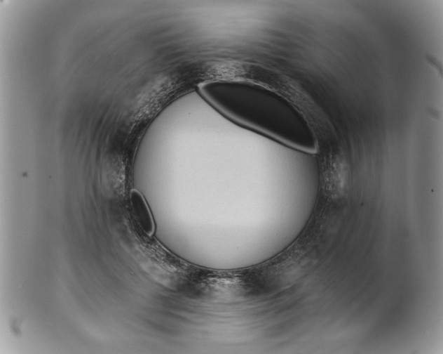 X0000101950552200808011048