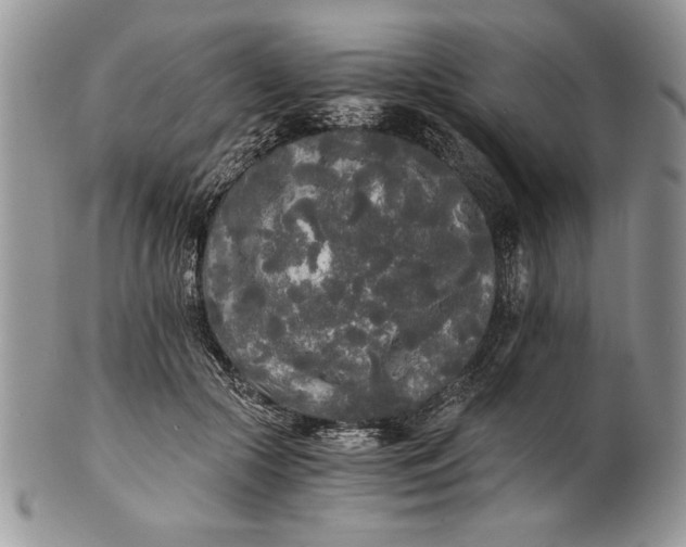 X0000101950553200808011048