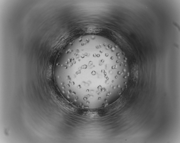 X0000101950554200808011048