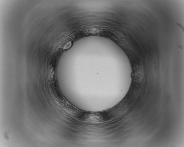 X0000101950555200808011048