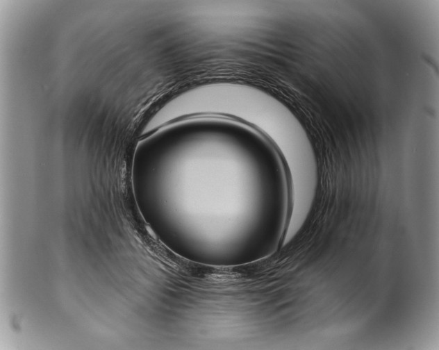 X0000101950556200808011048