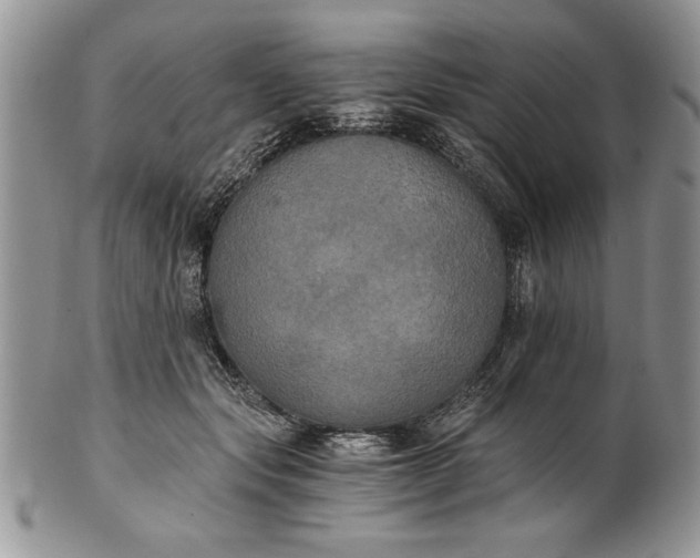 X0000101950557200808011048