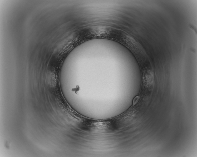 X0000101950558200808011048