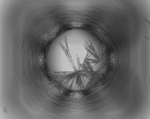 X0000101950559200808011048