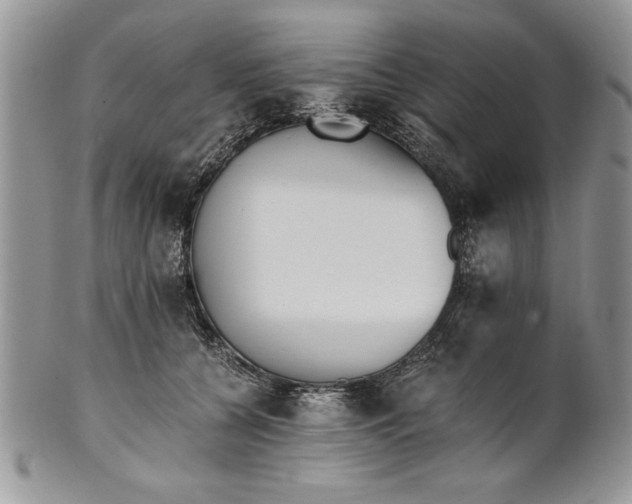 X0000101950560200808011048