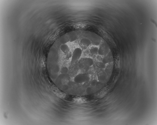 X0000101950561200808011048