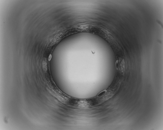 X0000101950562200808011048