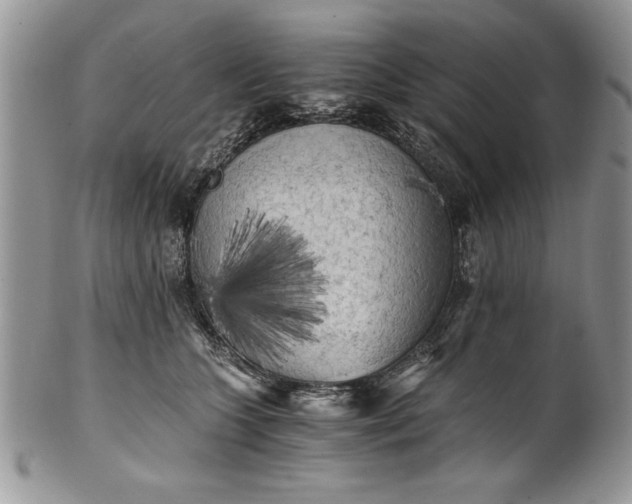 X0000101950563200808011048