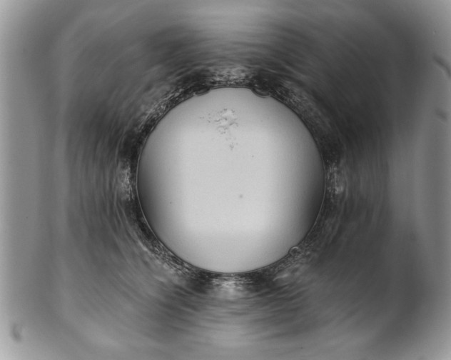 X0000101950564200808011048